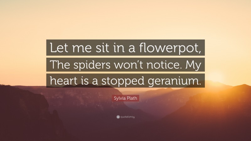 Sylvia Plath Quote: “Let me sit in a flowerpot, The spiders won’t notice. My heart is a stopped geranium.”