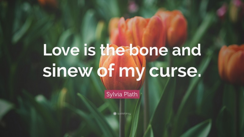 Sylvia Plath Quote: “Love is the bone and sinew of my curse.”