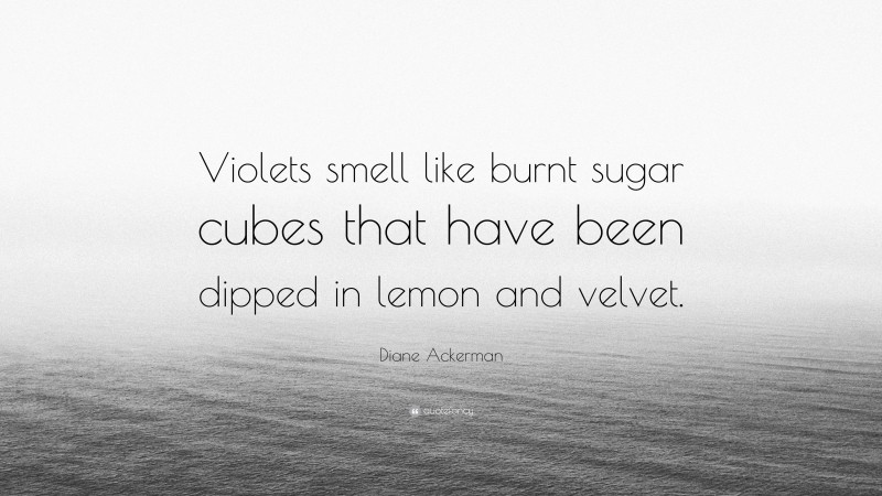 Diane Ackerman Quote: “Violets smell like burnt sugar cubes that have been dipped in lemon and velvet.”