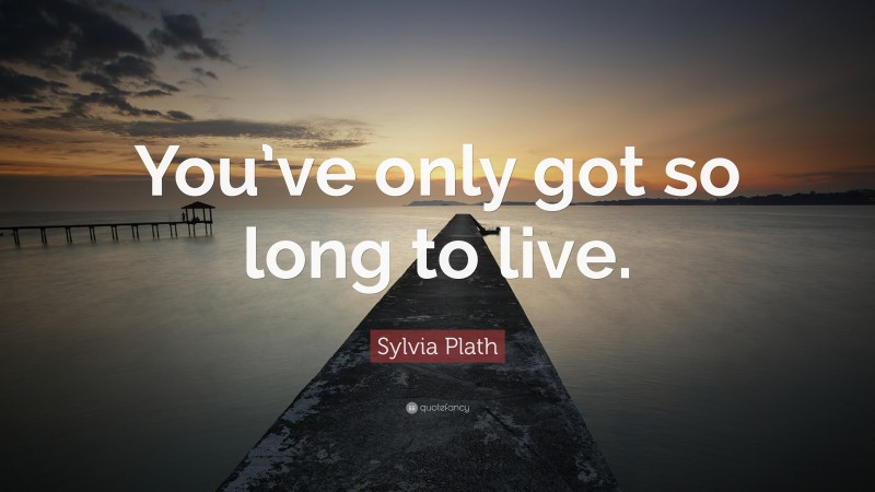 Sylvia Plath Quote: “You’ve only got so long to live.”