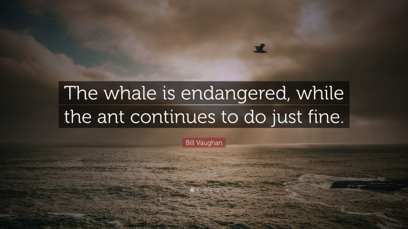 Bill Vaughan Quote: “The whale is endangered, while the ant continues to do just fine.”