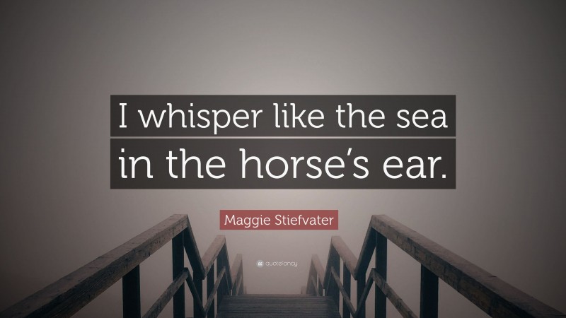 Maggie Stiefvater Quote: “I whisper like the sea in the horse’s ear.”
