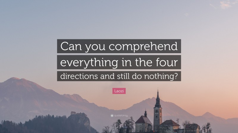 Laozi Quote: “Can you comprehend everything in the four directions and still do nothing?”
