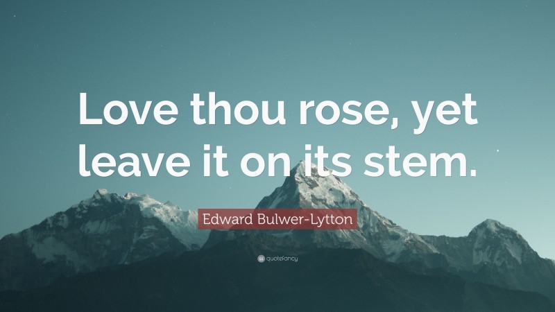 Edward Bulwer-Lytton Quote: “Love thou rose, yet leave it on its stem.”