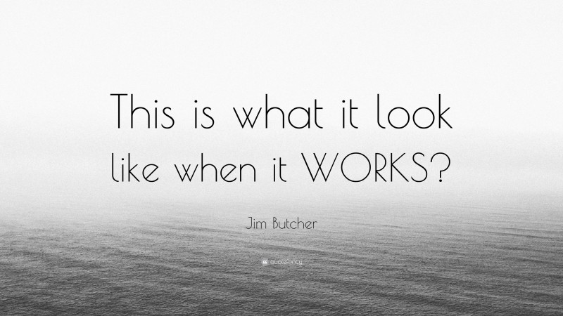 Jim Butcher Quote: “This is what it look like when it WORKS?”