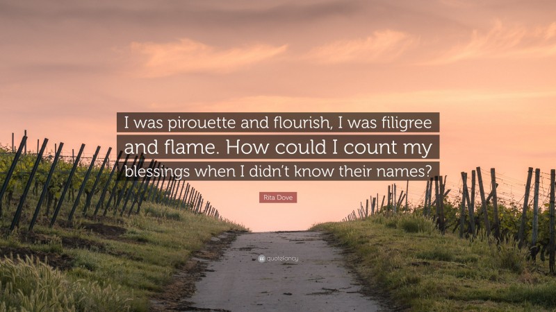Rita Dove Quote: “I was pirouette and flourish, I was filigree and flame. How could I count my blessings when I didn’t know their names?”