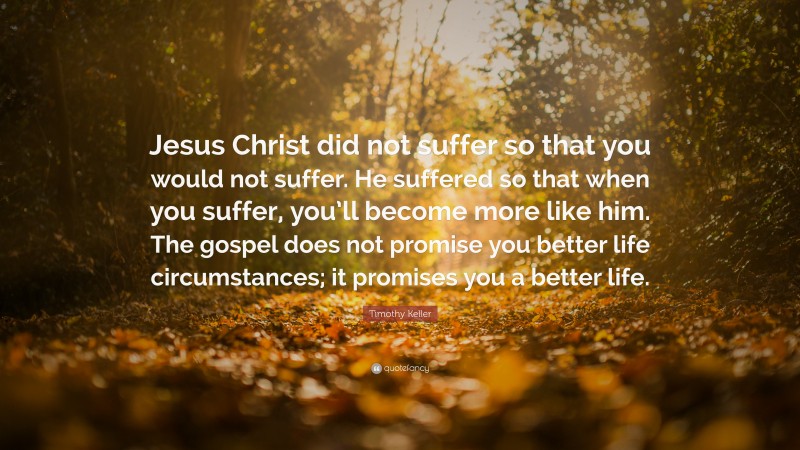 Timothy Keller Quote: “Jesus Christ did not suffer so that you would not suffer. He suffered so that when you suffer, you’ll become more like him. The gospel does not promise you better life circumstances; it promises you a better life.”