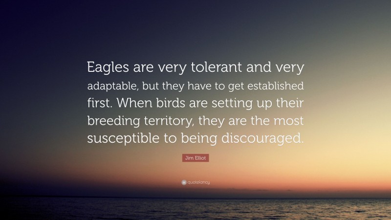 Jim Elliot Quote: “Eagles are very tolerant and very adaptable, but they have to get established first. When birds are setting up their breeding territory, they are the most susceptible to being discouraged.”