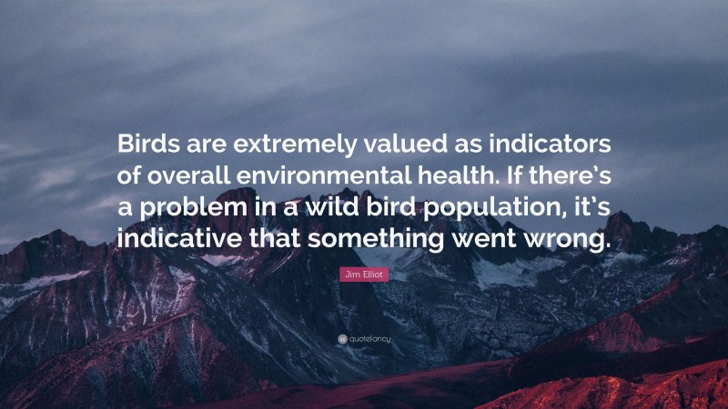 Jim Elliot Quote: “Birds are extremely valued as indicators of overall environmental health. If there’s a problem in a wild bird population, it’s indicative that something went wrong.”