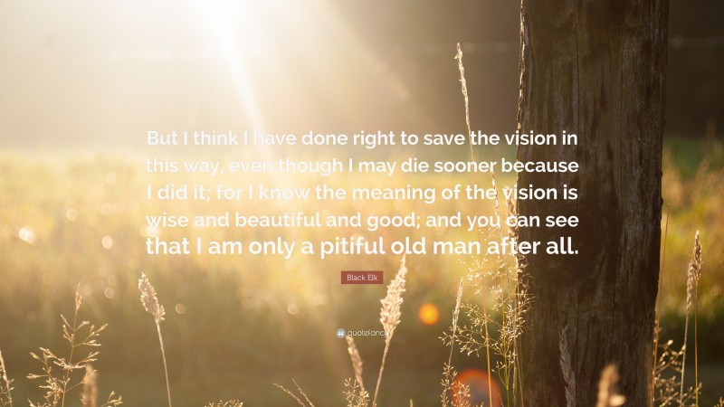 Black Elk Quote: “But I think I have done right to save the vision in this way, even though I may die sooner because I did it; for I know the meaning of the vision is wise and beautiful and good; and you can see that I am only a pitiful old man after all.”