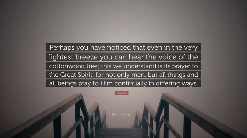 Black Elk Quote: “Perhaps you have noticed that even in the very lightest breeze you can hear the voice of the cottonwood tree; this we understand is its prayer to the Great Spirit, for not only men, but all things and all beings pray to Him continually in differing ways.”