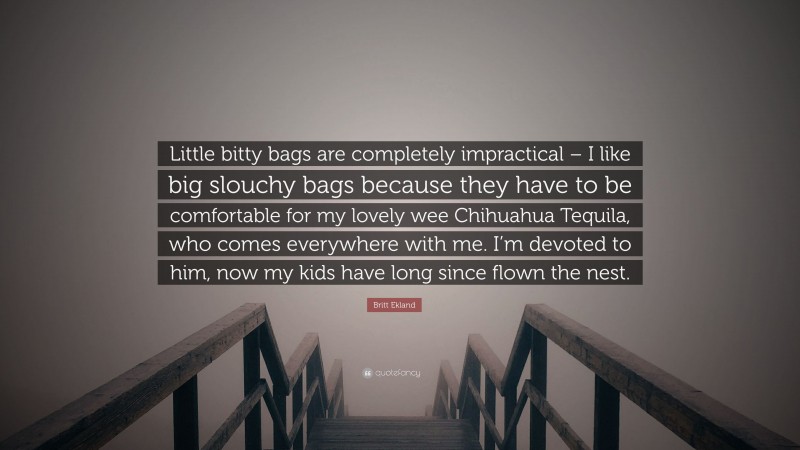 Britt Ekland Quote: “Little bitty bags are completely impractical – I like big slouchy bags because they have to be comfortable for my lovely wee Chihuahua Tequila, who comes everywhere with me. I’m devoted to him, now my kids have long since flown the nest.”