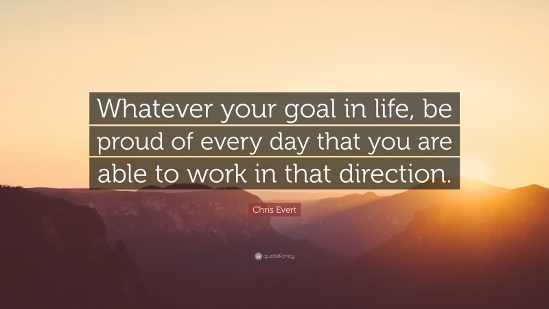 Chris Evert Quote: “Whatever your goal in life, be proud of every day that you are able to work in that direction.”