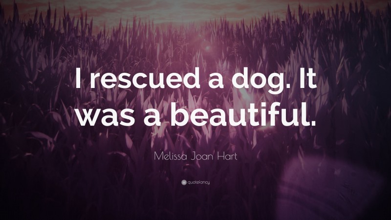 Melissa Joan Hart Quote: “I rescued a dog. It was a beautiful.”