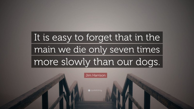 Jim Harrison Quote: “It is easy to forget that in the main we die only seven times more slowly than our dogs.”