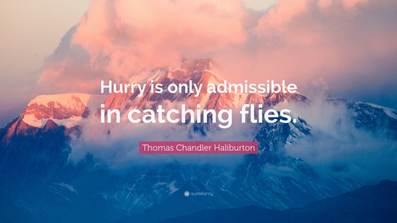 Thomas Chandler Haliburton Quote: “Hurry is only admissible in catching flies.”
