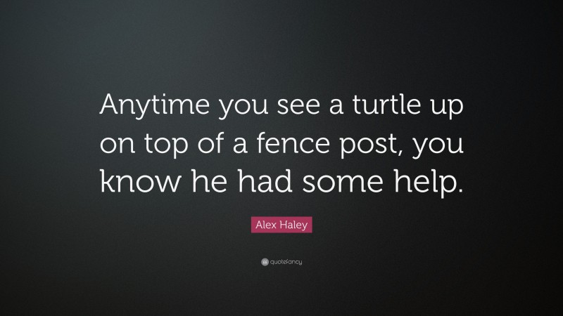 Alex Haley Quote: “Anytime you see a turtle up on top of a fence post, you know he had some help.”