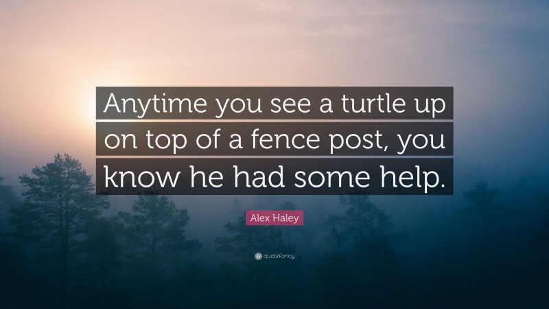 Alex Haley Quote: “Anytime you see a turtle up on top of a fence post, you know he had some help.”