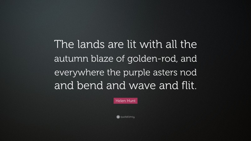 Helen Hunt Quote: “The lands are lit with all the autumn blaze of golden-rod, and everywhere the purple asters nod and bend and wave and flit.”