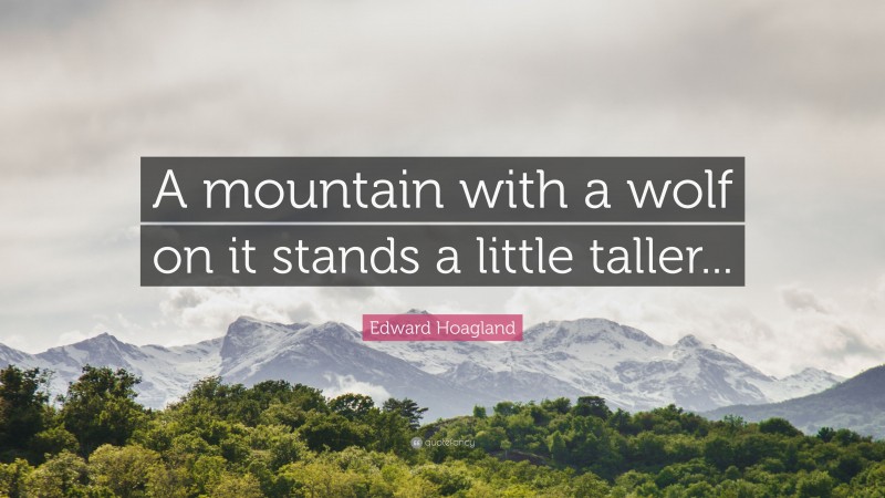 Edward Hoagland Quote: “A mountain with a wolf on it stands a little taller...”