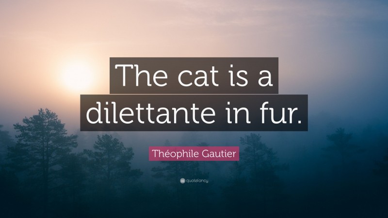 Théophile Gautier Quote: “The cat is a dilettante in fur.”