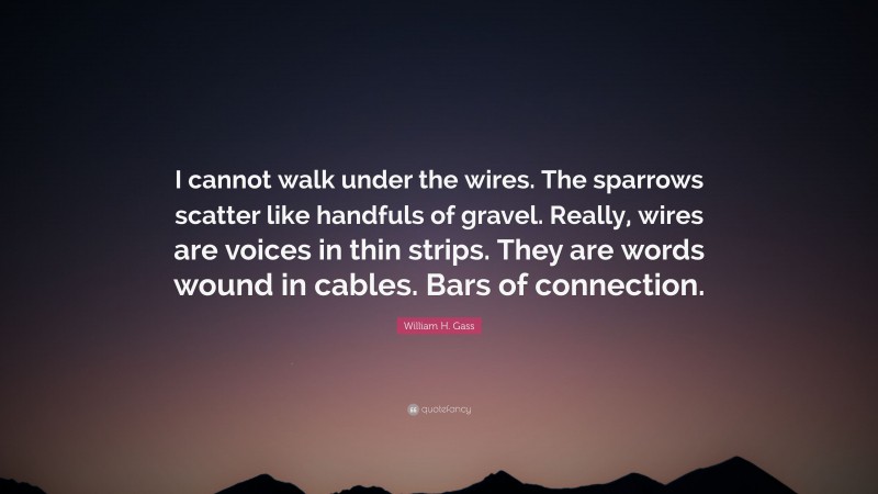 William H. Gass Quote: “I cannot walk under the wires. The sparrows scatter like handfuls of gravel. Really, wires are voices in thin strips. They are words wound in cables. Bars of connection.”