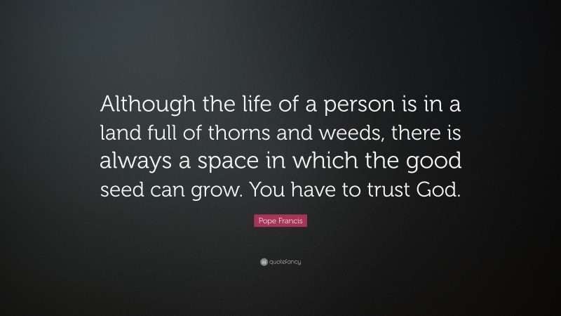 Pope Francis Quote: “Although the life of a person is in a land full of thorns and weeds, there is always a space in which the good seed can grow. You have to trust God.”