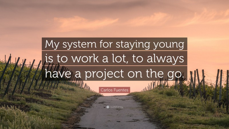 Carlos Fuentes Quote: “My system for staying young is to work a lot, to always have a project on the go.”