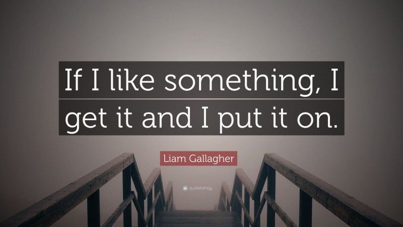 Liam Gallagher Quote: “If I like something, I get it and I put it on.”