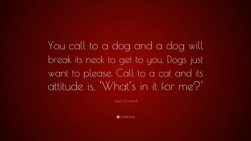 Lewis Grizzard Quote: “You call to a dog and a dog will break its neck to get to you. Dogs just want to please. Call to a cat and its attitude is, ‘What’s in it for me?’”