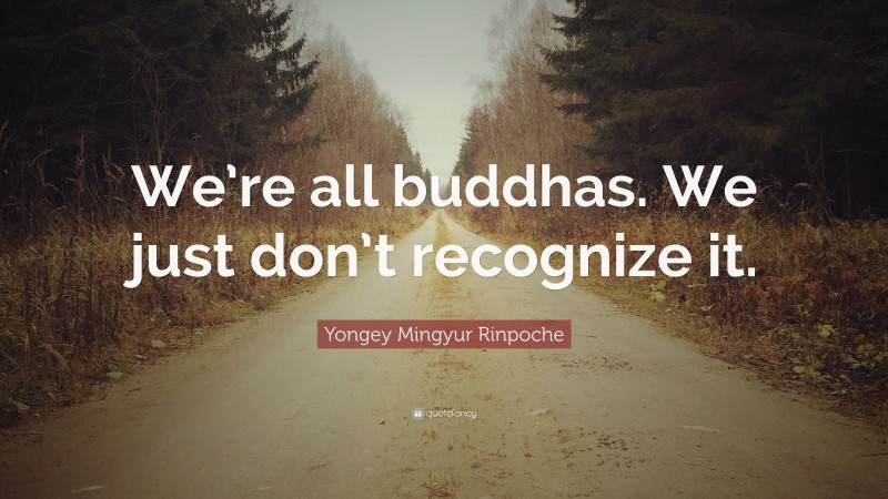 Yongey Mingyur Rinpoche Quote: “We’re all buddhas. We just don’t recognize it.”
