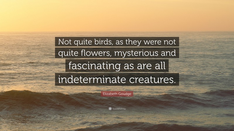 Elizabeth Goudge Quote: “Not quite birds, as they were not quite flowers, mysterious and fascinating as are all indeterminate creatures.”