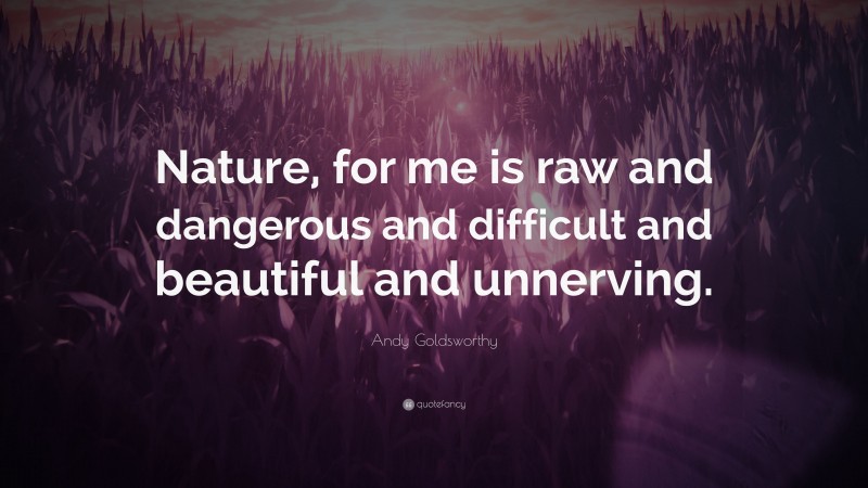 Andy Goldsworthy Quote: “Nature, for me is raw and dangerous and difficult and beautiful and unnerving.”