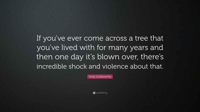 Andy Goldsworthy Quote: “If you’ve ever come across a tree that you’ve lived with for many years and then one day it’s blown over, there’s incredible shock and violence about that.”