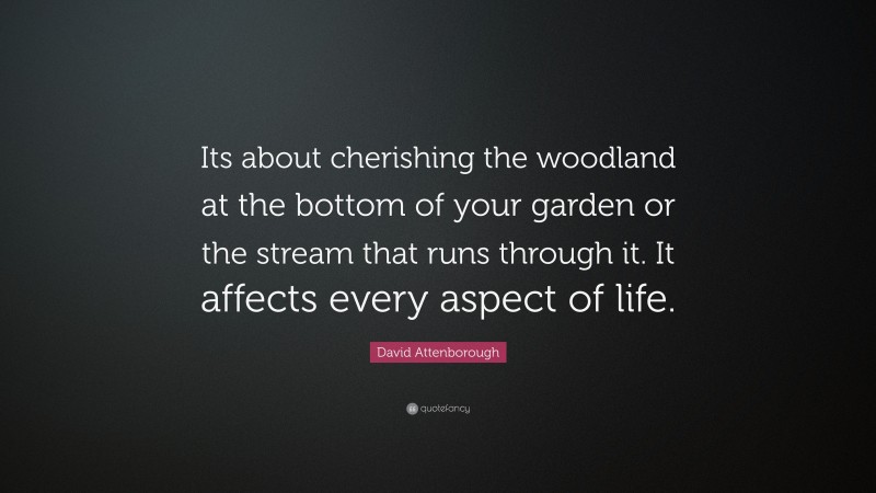 David Attenborough Quote: “Its about cherishing the woodland at the bottom of your garden or the stream that runs through it. It affects every aspect of life.”