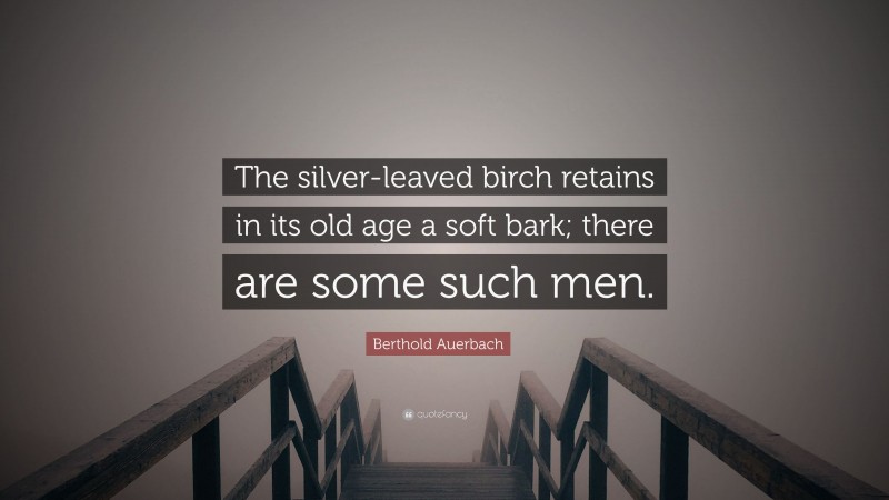 Berthold Auerbach Quote: “The silver-leaved birch retains in its old age a soft bark; there are some such men.”