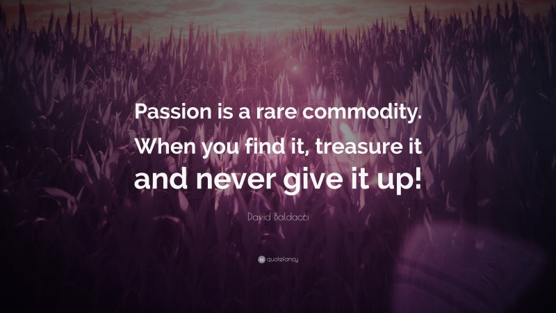 David Baldacci Quote: “Passion is a rare commodity. When you find it, treasure it and never give it up!”