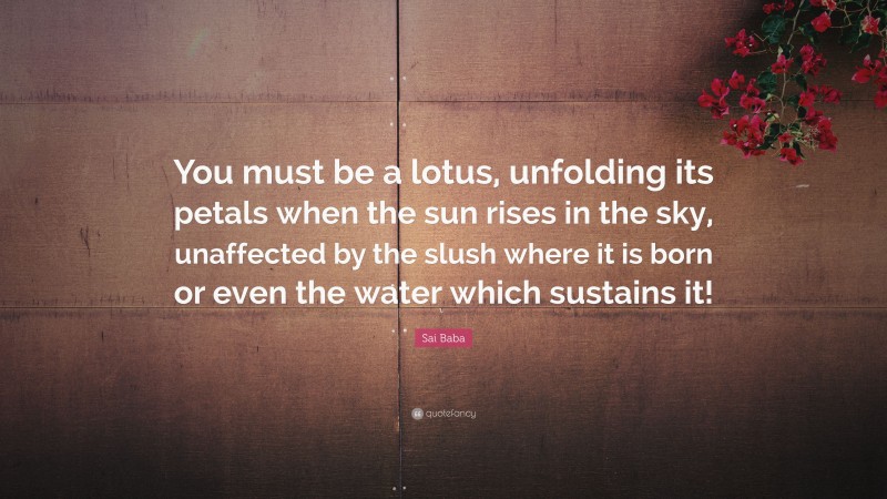 Sai Baba Quote: “You must be a lotus, unfolding its petals when the sun rises in the sky, unaffected by the slush where it is born or even the water which sustains it!”