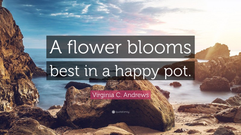Virginia C. Andrews Quote: “A flower blooms best in a happy pot.”