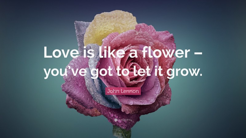 John Lennon Quote: “Love is like a flower – you’ve got to let it grow.”