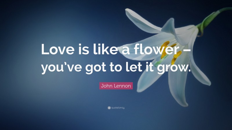 John Lennon Quote: “Love is like a flower – you’ve got to let it grow.”