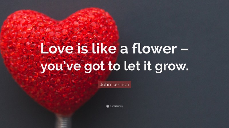 John Lennon Quote: “Love is like a flower – you’ve got to let it grow.”