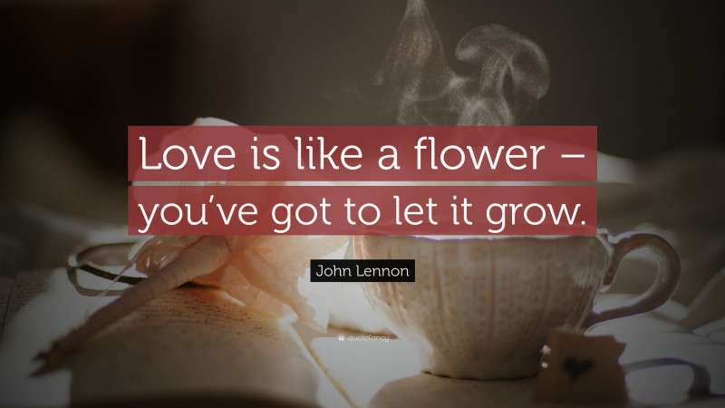 John Lennon Quote: “Love is like a flower – you’ve got to let it grow.”