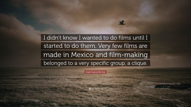 Gael Garcia Bernal Quote: “I didn’t know I wanted to do films until I started to do them. Very few films are made in Mexico and film-making belonged to a very specific group, a clique.”