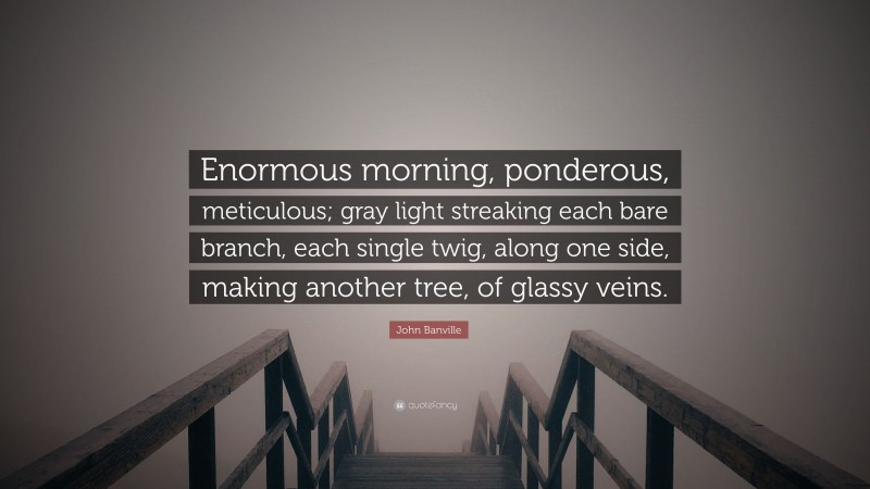 John Banville Quote: “Enormous morning, ponderous, meticulous; gray light streaking each bare branch, each single twig, along one side, making another tree, of glassy veins.”