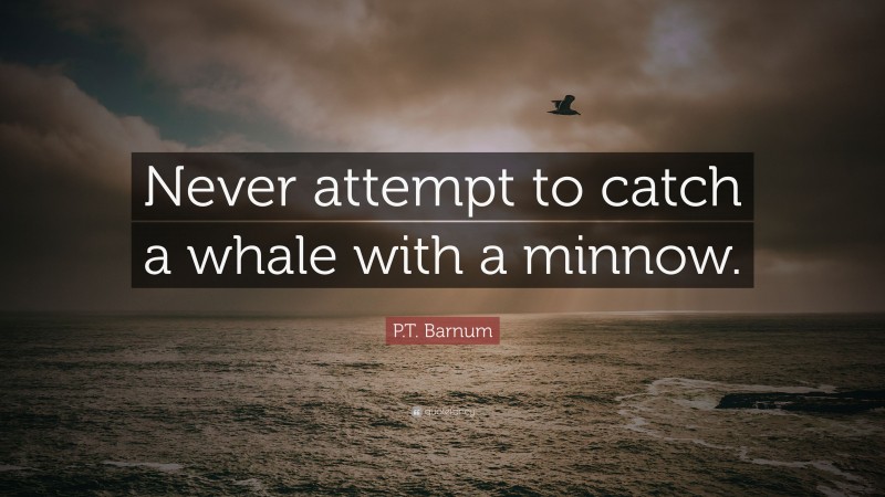 P.T. Barnum Quote: “Never attempt to catch a whale with a minnow.”