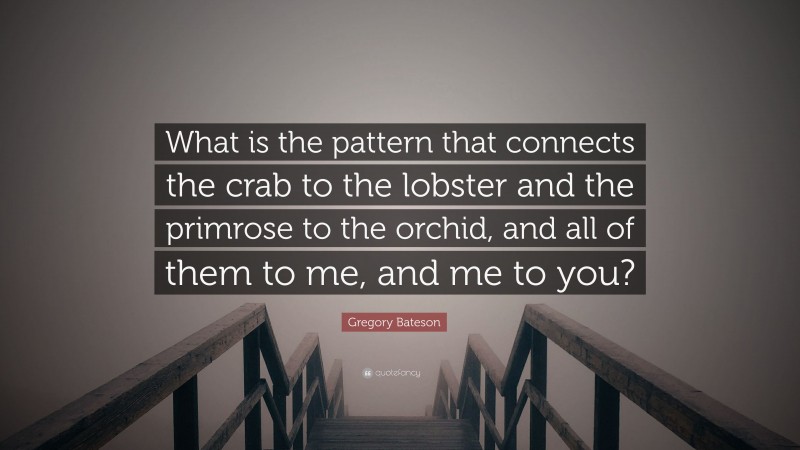 Gregory Bateson Quote: “What is the pattern that connects the crab to the lobster and the primrose to the orchid, and all of them to me, and me to you?”