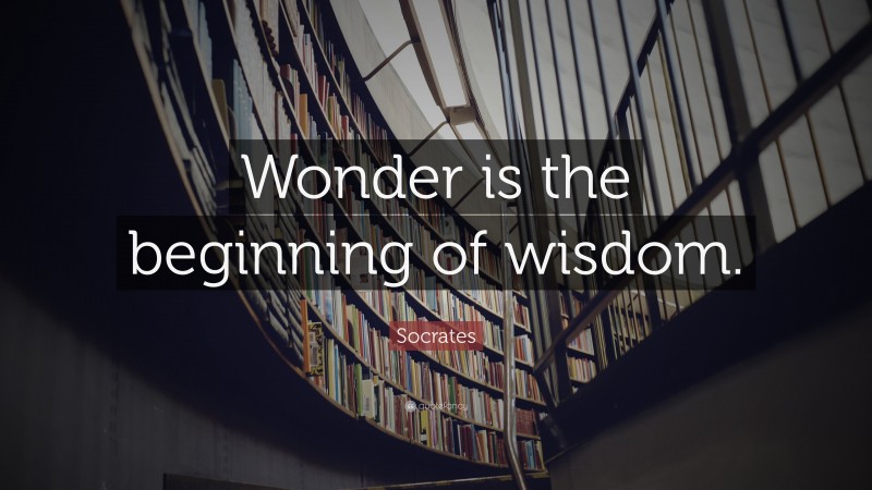 Socrates Quote: “Wonder is the beginning of wisdom.”