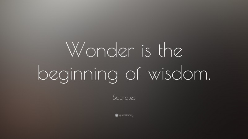 Socrates Quote: “Wonder is the beginning of wisdom.”
