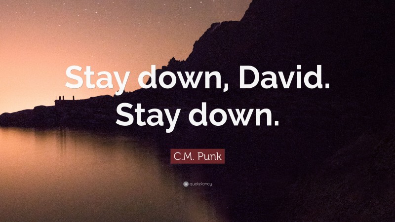 C.M. Punk Quote: “Stay down, David. Stay down.”